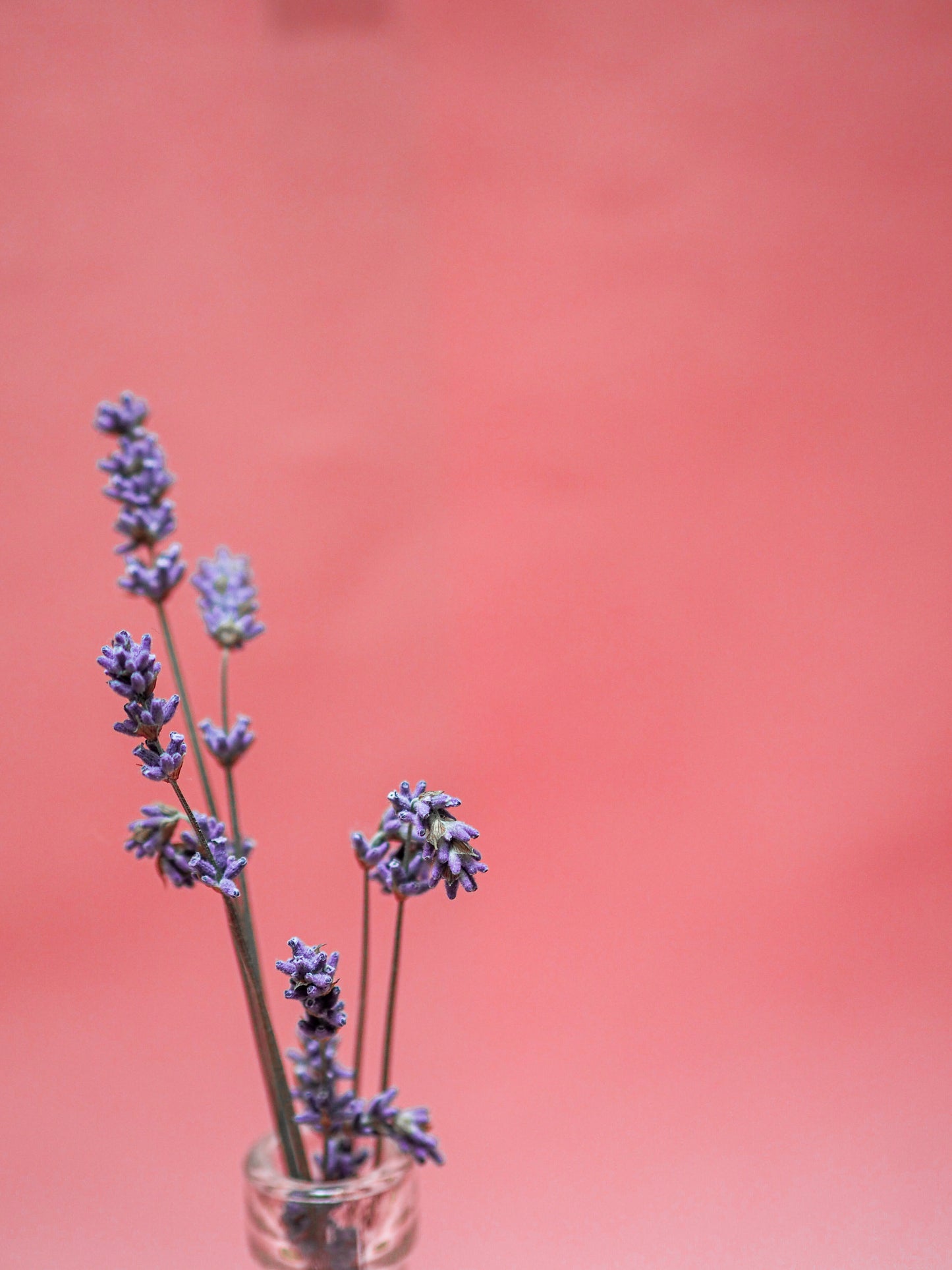 The Soothing Scents Box